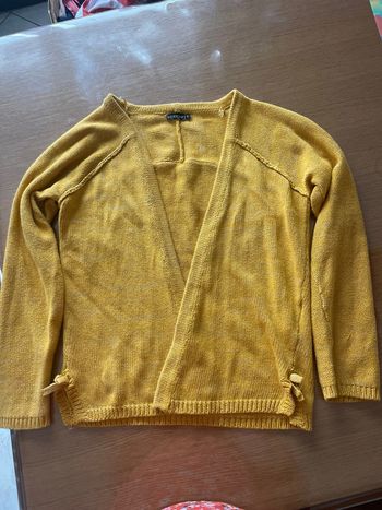 gilet jaune moutarde