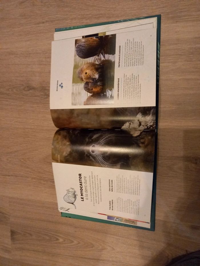 Livre de l aquarium du Périgord noir. Frissons en eau douce - photo numéro 3