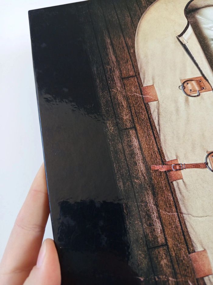 Classeur binder american horror story asylum - photo numéro 12