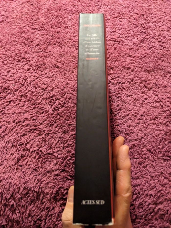 Millenium 2 la fille qui rêvait d'un bidon d'essence et d'une allumette de Stieg Larsson - photo numéro 3