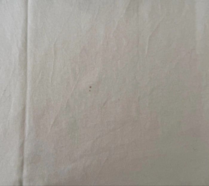 Lot de vêtements garçon 12 ans - photo numéro 8