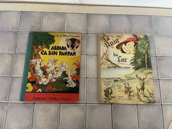 Lot de 2 livres anciens