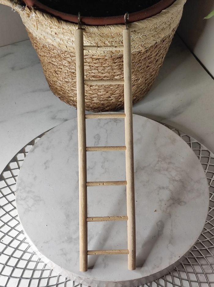 Échelle pour oiseaux - photo numéro 3