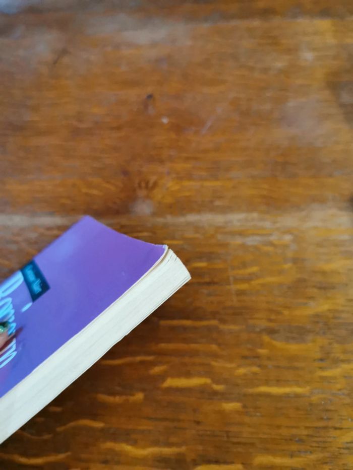 Livre Bonjour Paresse - photo numéro 3