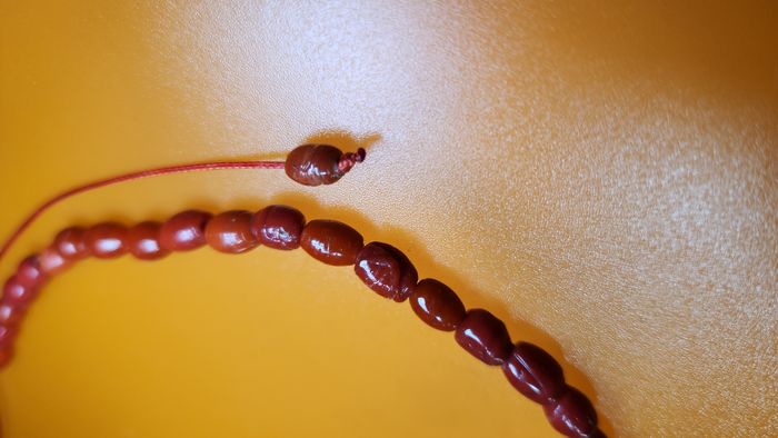 Collier ras de coup. Collier corail bambou - photo numéro 3