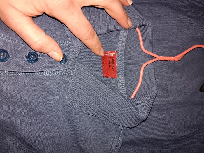 Polo levis - photo numéro 3