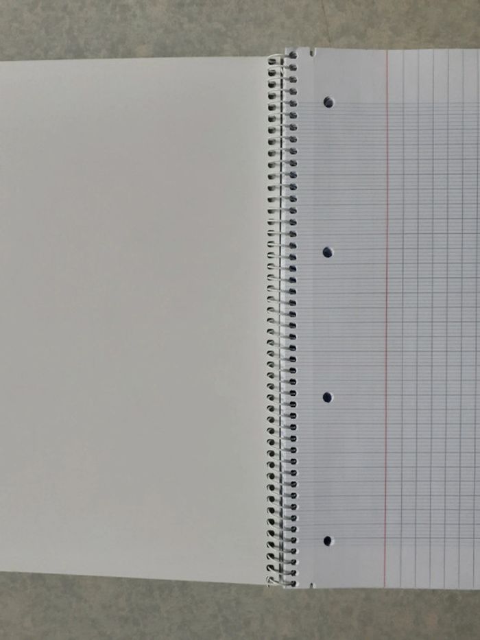 Cahier Rhodia - photo numéro 2