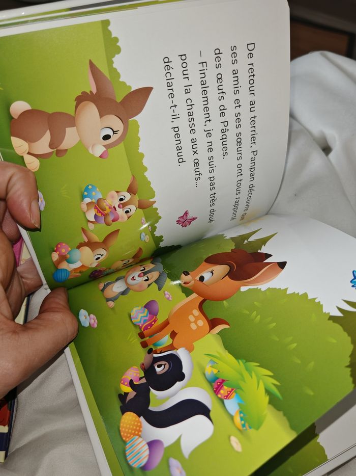 Livre panpan - photo numéro 2