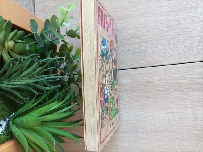 Manga Fairy Tail numéro 1 pika - photo numéro 4