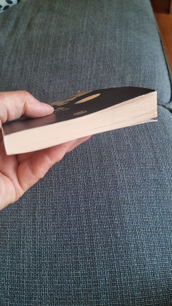 2 Livre -Roman - photo numéro 3