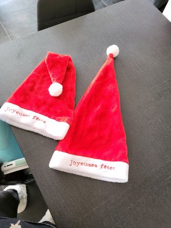 2 bonnets de noel