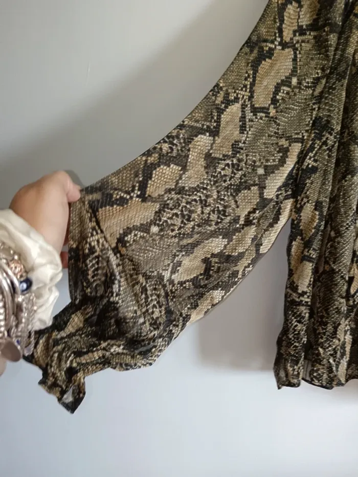 Blouse transparente - photo numéro 2