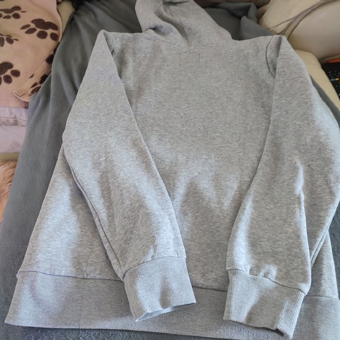 Sweat levis gris 16 ans - photo numéro 3