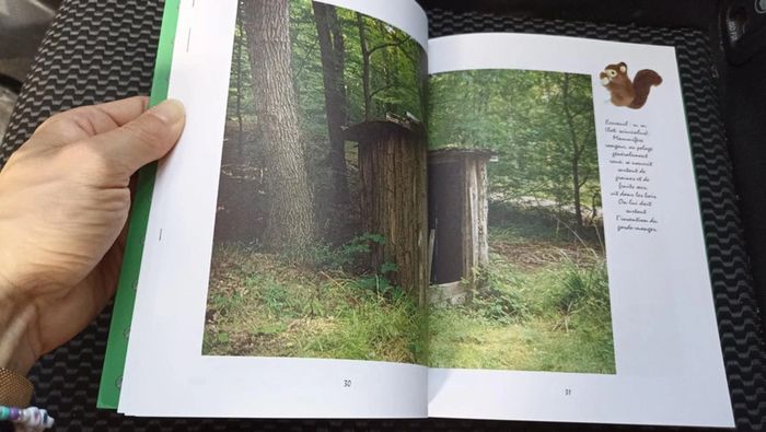 livre cahier de nature francis ambrois - photo numéro 5