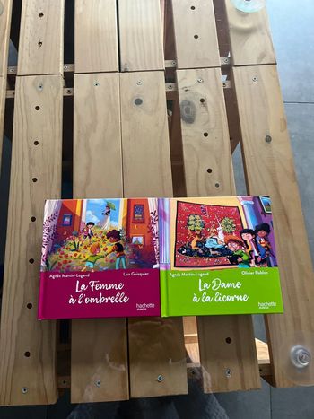 Lot de 2 livres mcdo collection le musée magique