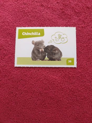 Carte nos amies les bêtes