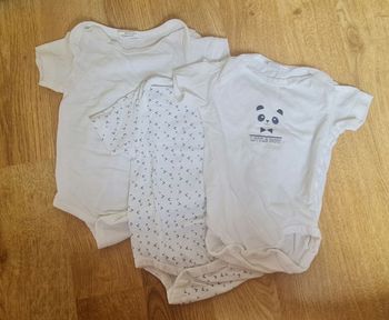 Lot body