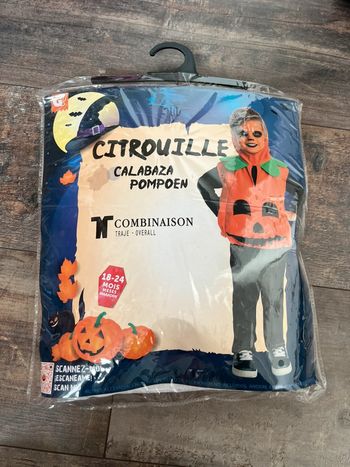 Déguisement citrouille Halloween