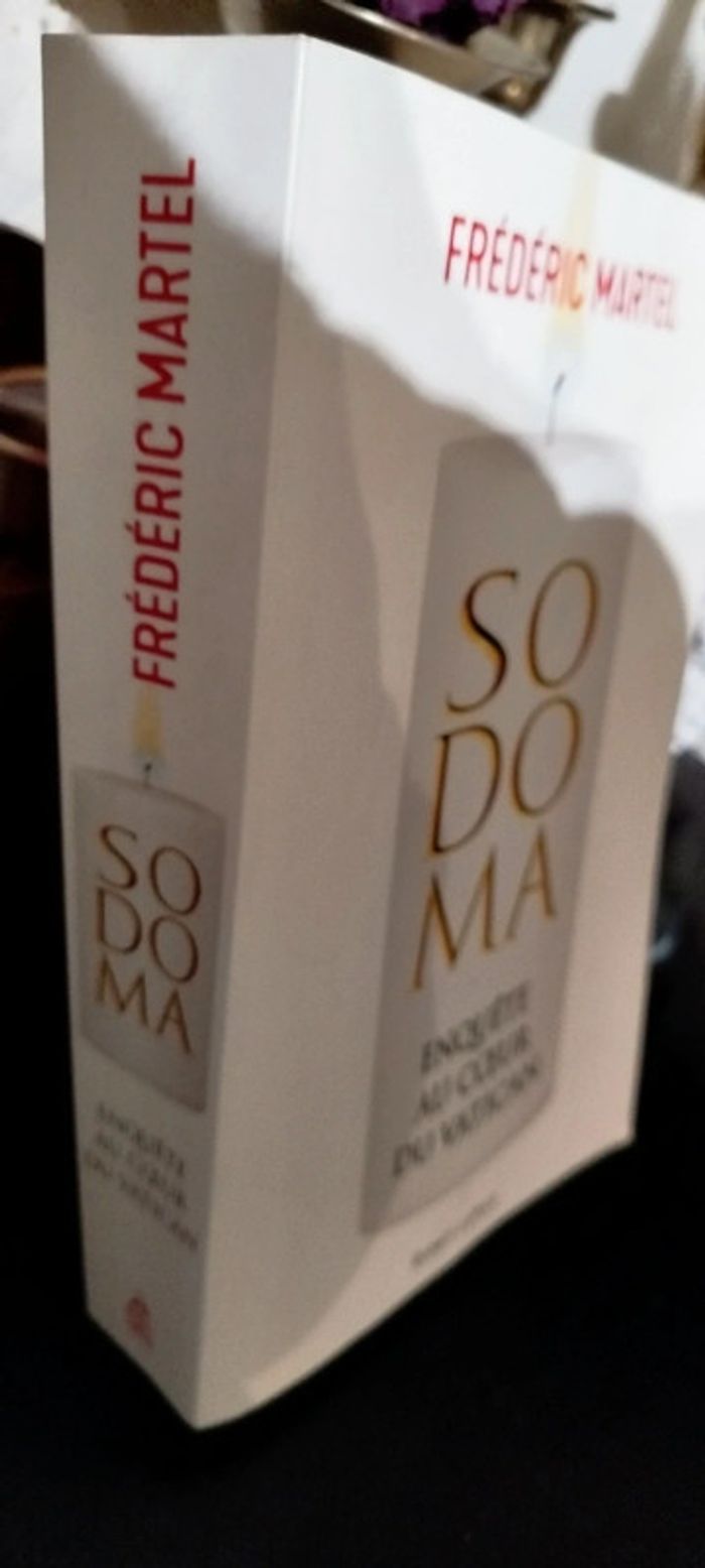 Sodoma livre grand format - photo numéro 2