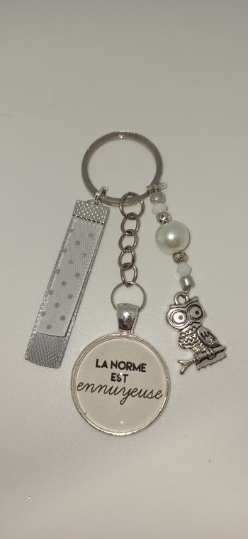 Porte clé humour " La norme est ennuyeuse "