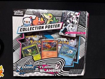 Coffret poster Pokémon, coffret poster foudre noire et flamme blanche
