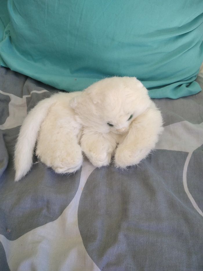 peluche chat blanc endormi