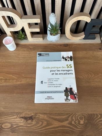 Livre Guide pratique des 5S