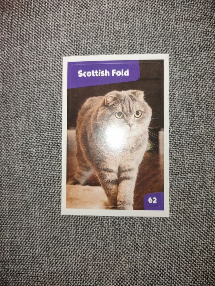 Autocollant nos amies les bêtes