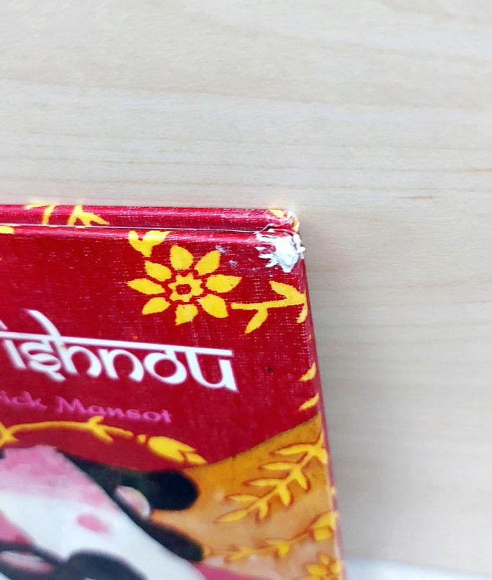 📚 Livre : La souris de Vishnou - photo numéro 6