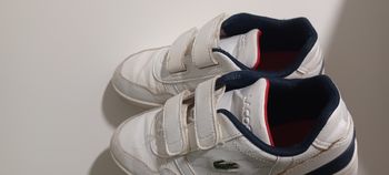 Basket Lacoste