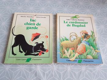 Lot Cadet Castor Flammarion