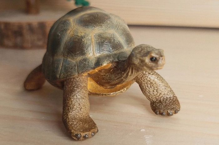 PAPO tortue de terre beige Figurine Animal de la ferme