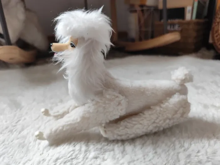 Chien Mylord Barbie - photo numéro 2