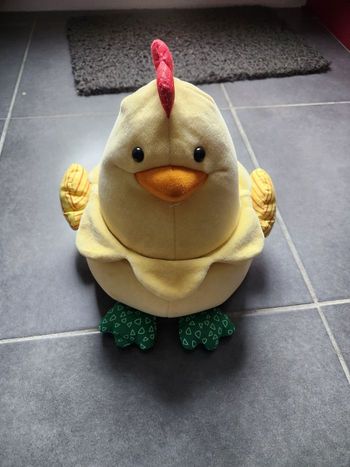 Poule et ses poussins