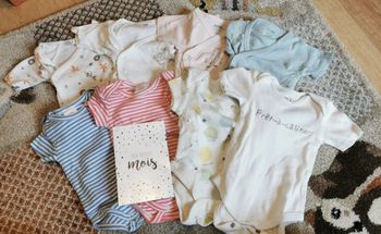 Lot bodies manches courtes