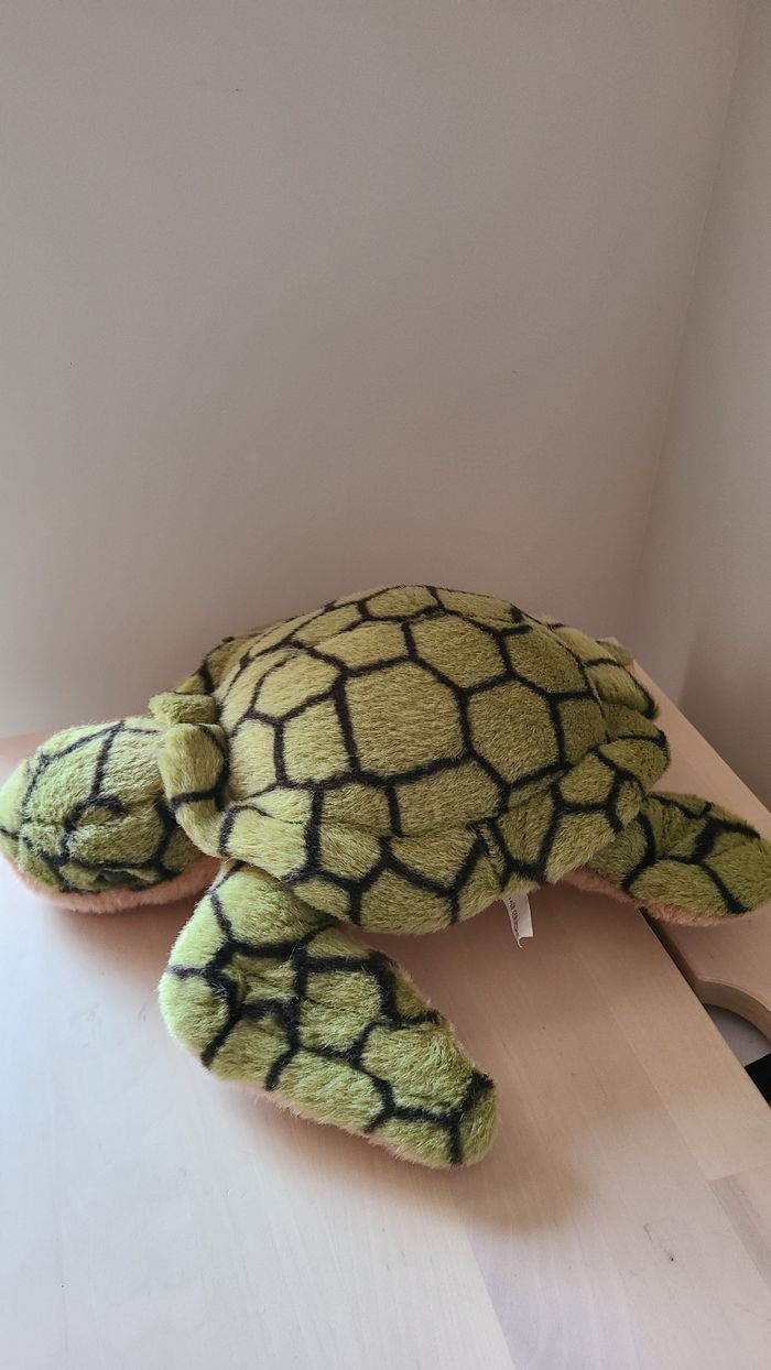 Tortue - photo numéro 3