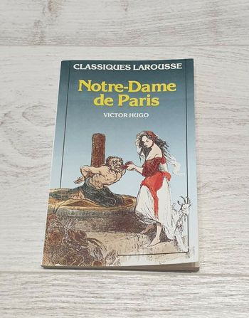 Livre Notre Dame de Paris