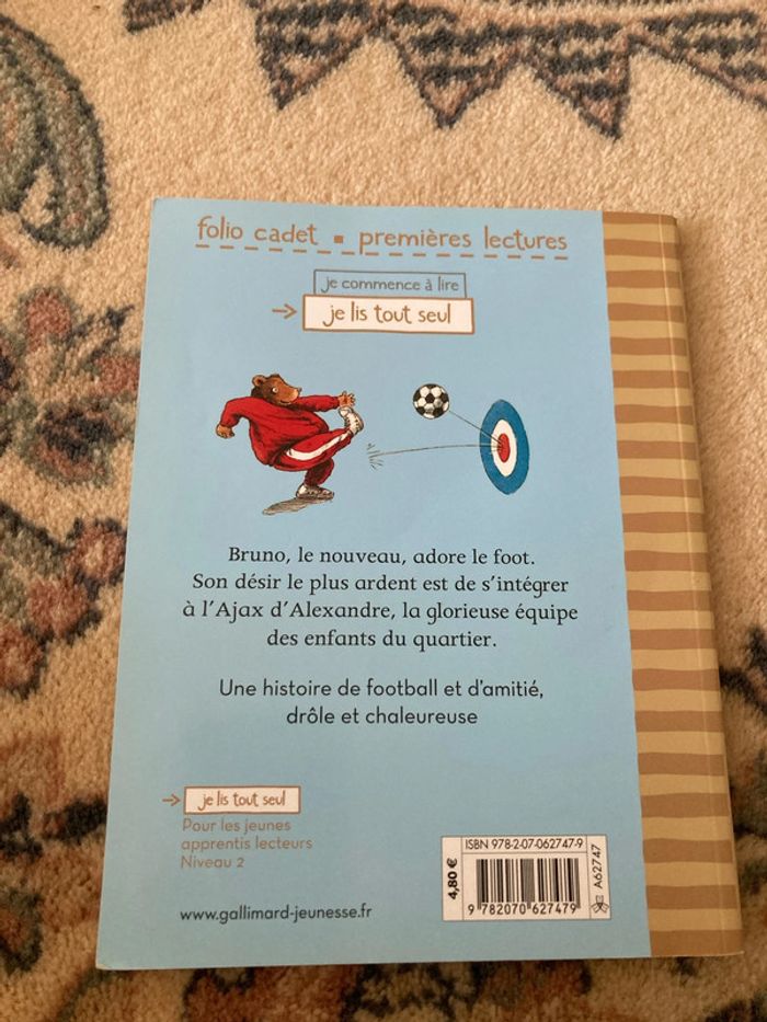 Fou de football - photo numéro 2