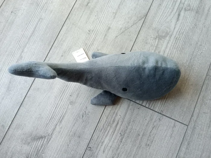Cale porte baleine 🐳 - photo numéro 3