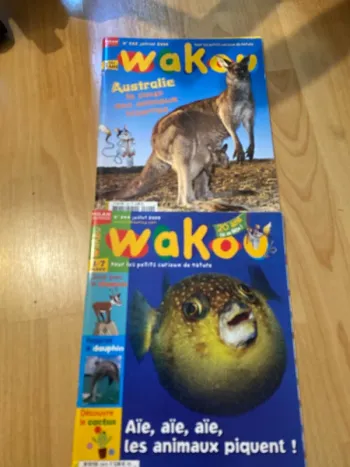 Lot de deux magazines Wakou