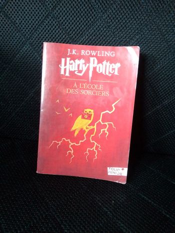 Harry Potter à l'école des sorciers