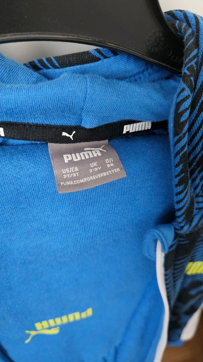 Ensemble puma - photo numéro 3