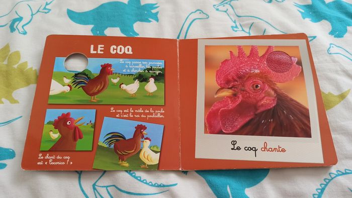 Lot livres à lire et à toucher - photo numéro 7