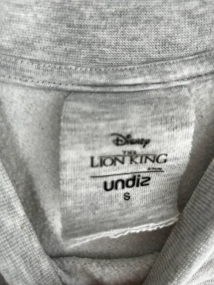 Pull Disney simba - photo numéro 3