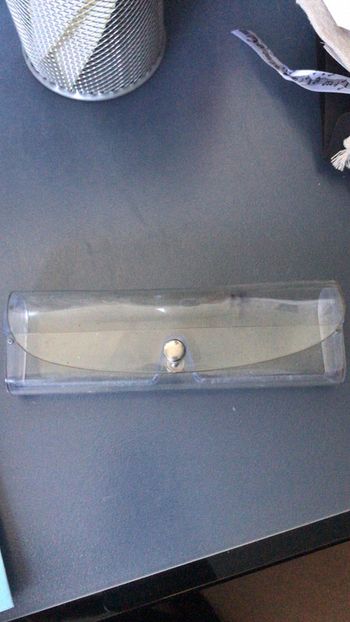 Étui à lunettes transparent avec peau de chamois