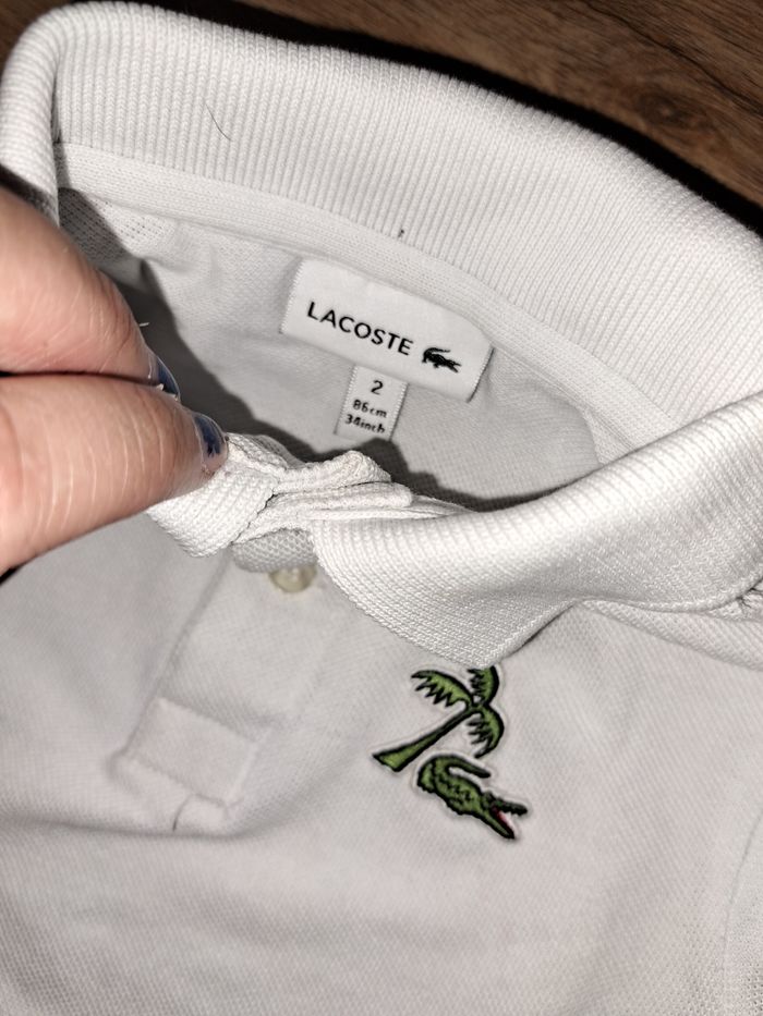 Polo lacoste authentique - photo numéro 3