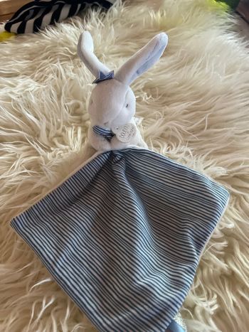 Lapin doudou et compagnie