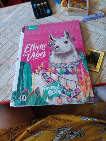 Cahier à ligne et autocollants