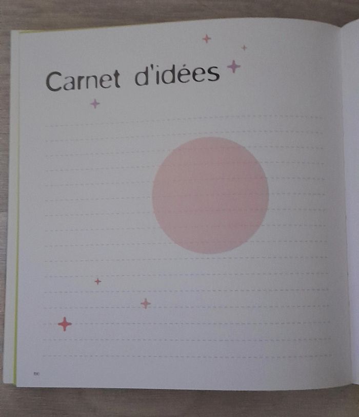 Fleurs & co 40 idées originales autour des fleurs - photo numéro 10