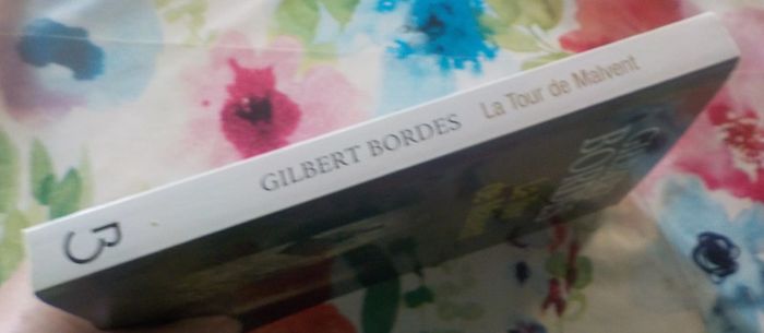 La Tour de Malvent de Gilbert Bordes Ed. Belfond - photo numéro 3